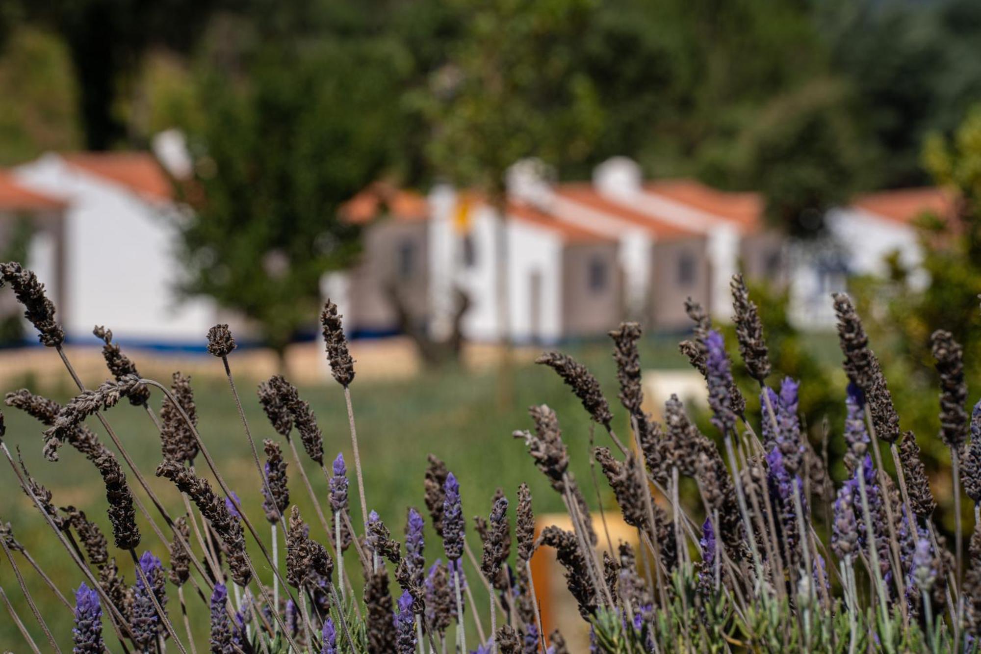 Vale Da Cassiopeia Guest House Cercal do Alentejo Exterior photo